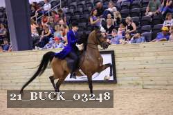 21_BUCK_03248 proof