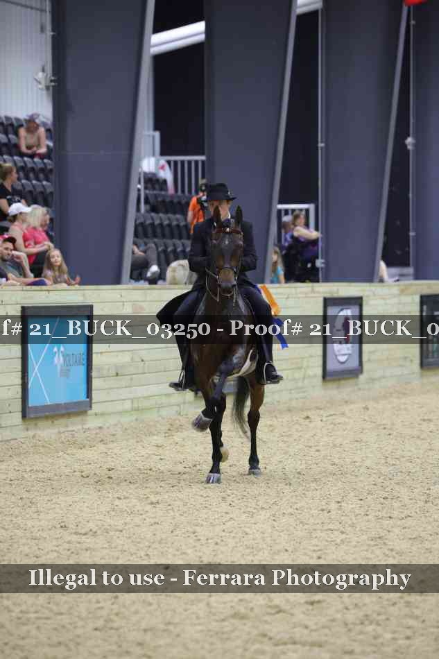 Proof 21_BUCK_03250