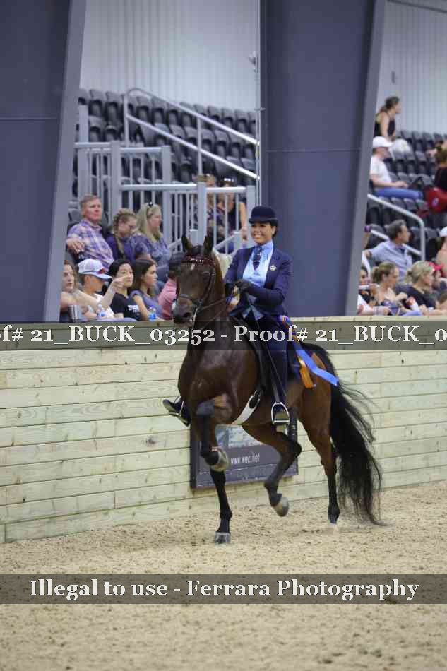 Proof 21_BUCK_03252
