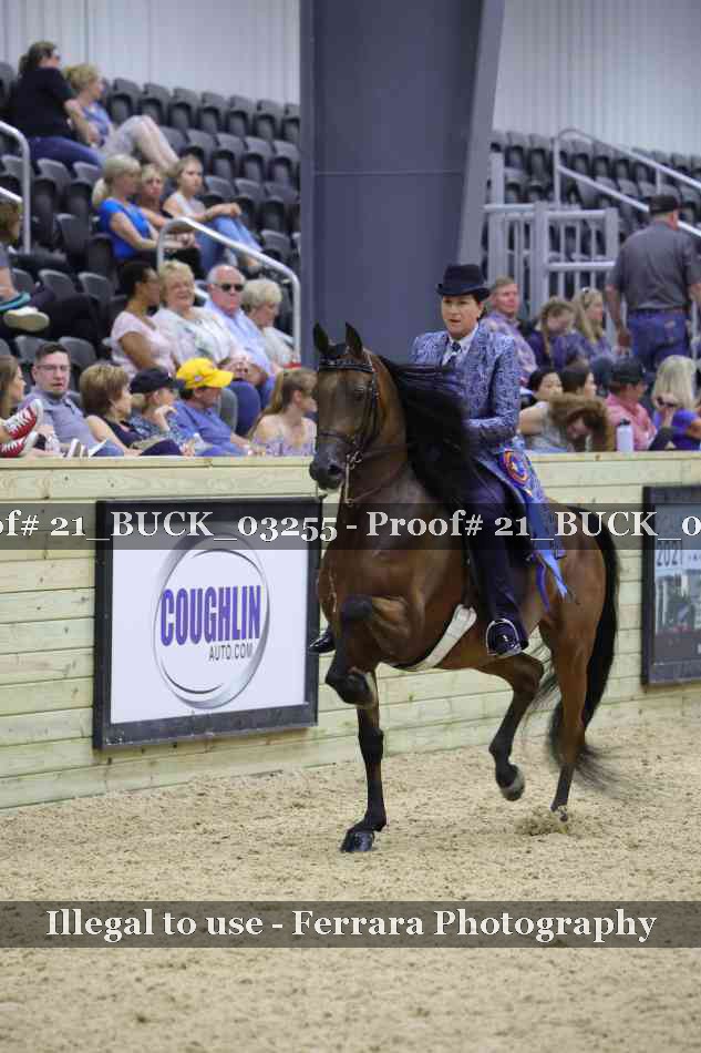 Proof 21_BUCK_03255