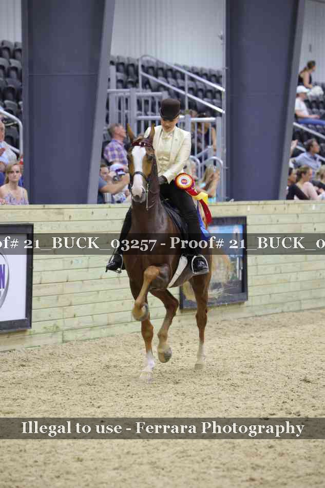 Proof 21_BUCK_03257