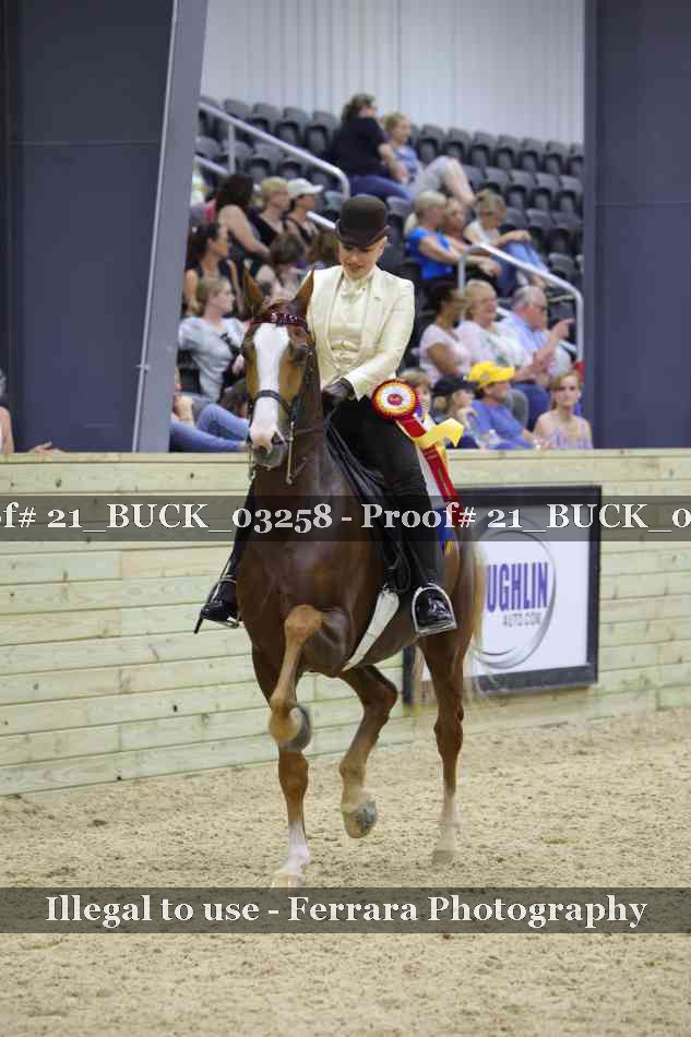 Proof 21_BUCK_03258