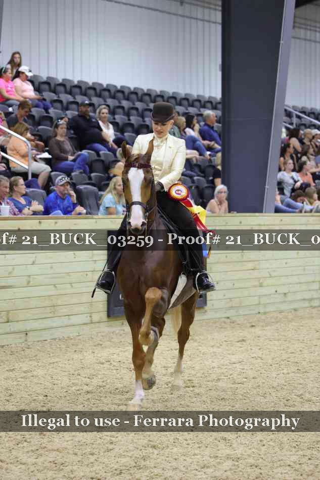 Proof 21_BUCK_03259