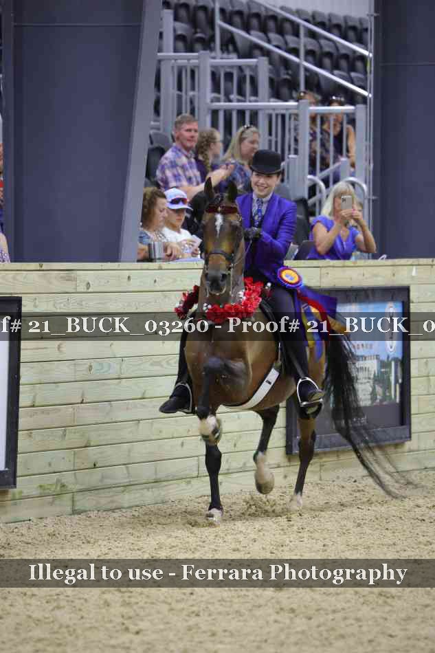 Proof 21_BUCK_03260