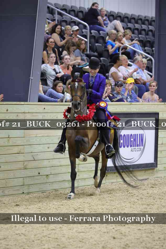 Proof 21_BUCK_03261