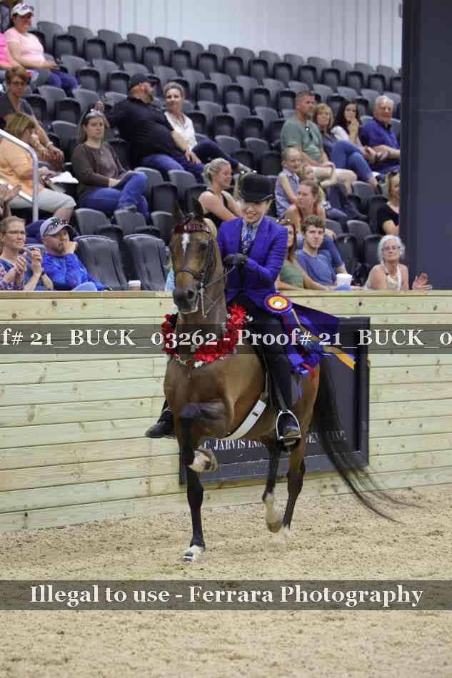 Proof 21_BUCK_03262