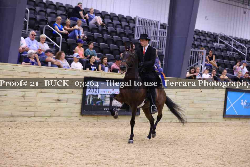 Proof 21_BUCK_03264