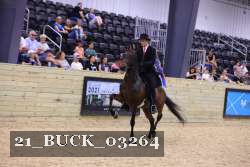 21_BUCK_03264 proof
