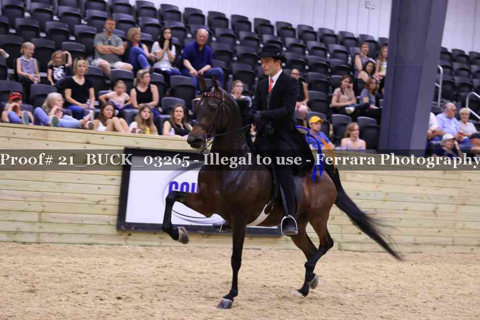 Proof 21_BUCK_03265