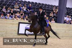 21_BUCK_03265 proof