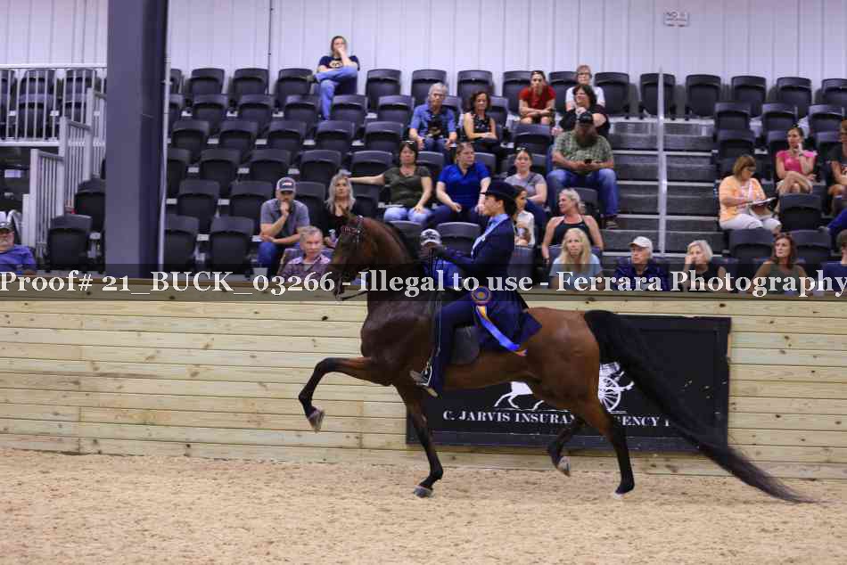 Proof 21_BUCK_03266