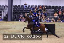 21_BUCK_03266 proof
