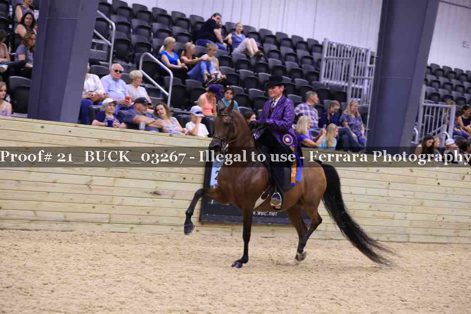 Proof 21_BUCK_03267