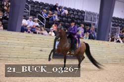21_BUCK_03267 proof
