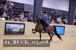 21_BUCK_03268 proof