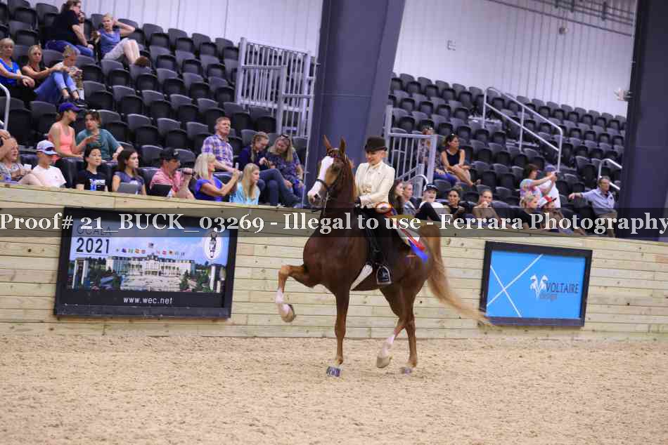 Proof 21_BUCK_03269