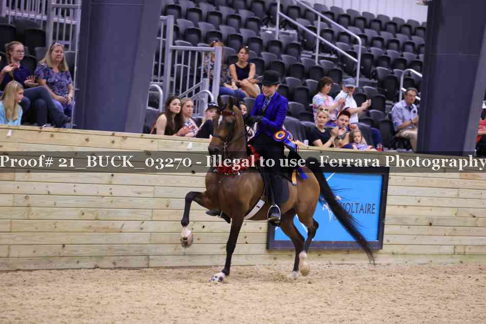 Proof 21_BUCK_03270