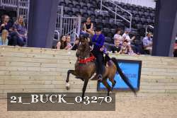 21_BUCK_03270 proof