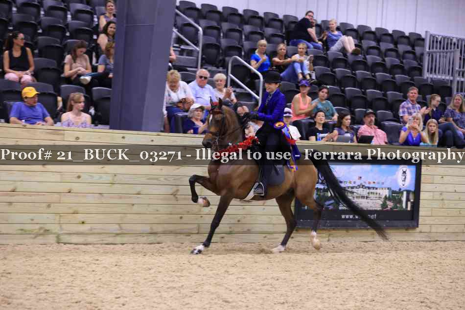Proof 21_BUCK_03271