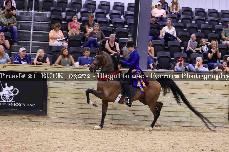 Proof 21_BUCK_03272