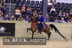 21_BUCK_03272 proof