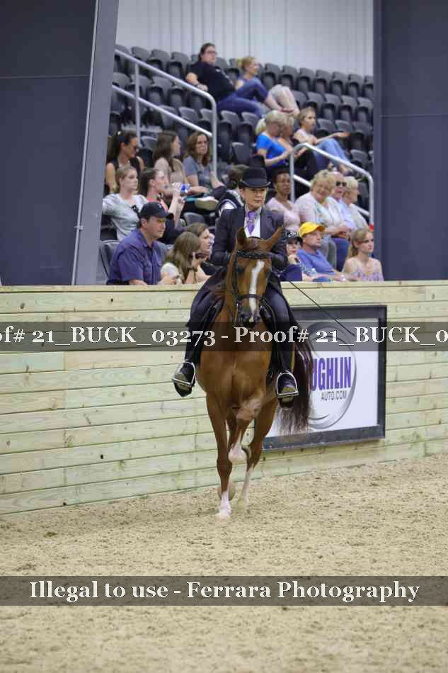Proof 21_BUCK_03273