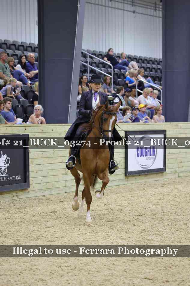 Proof 21_BUCK_03274