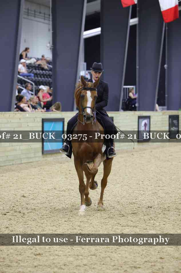 Proof 21_BUCK_03275