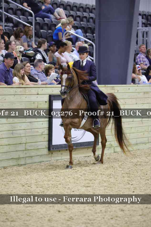 Proof 21_BUCK_03276