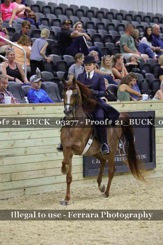 Proof 21_BUCK_03277