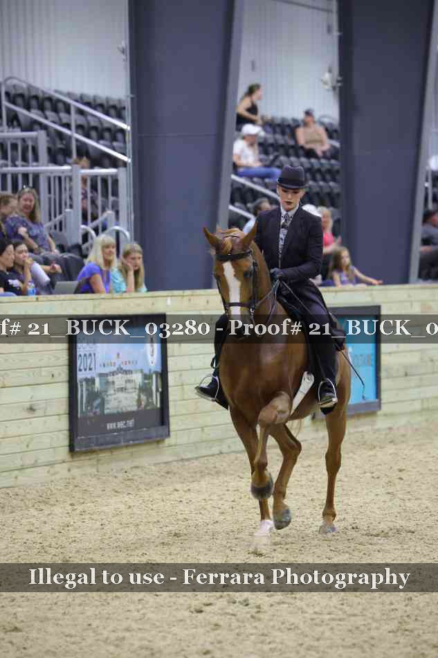 Proof 21_BUCK_03280