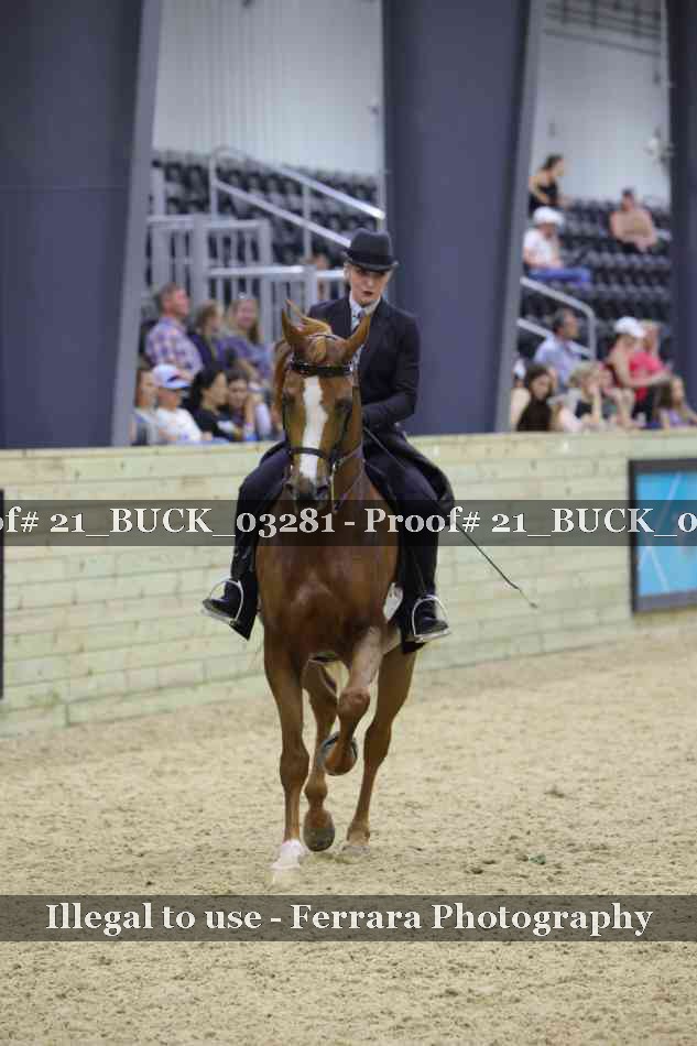 Proof 21_BUCK_03281