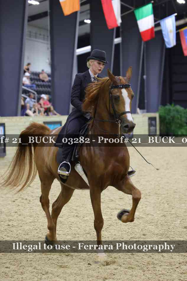 Proof 21_BUCK_03282