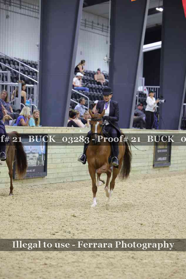 Proof 21_BUCK_03283