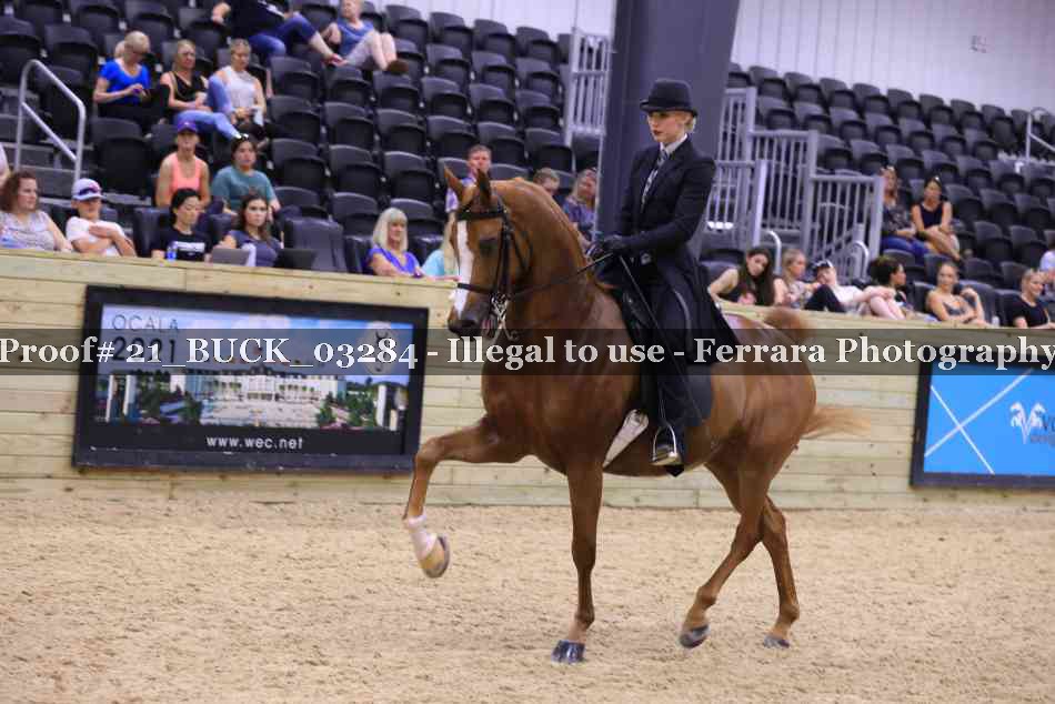 Proof 21_BUCK_03284