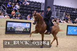 21_BUCK_03284 proof