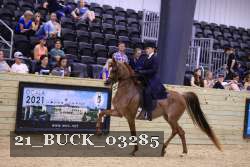 21_BUCK_03285 proof
