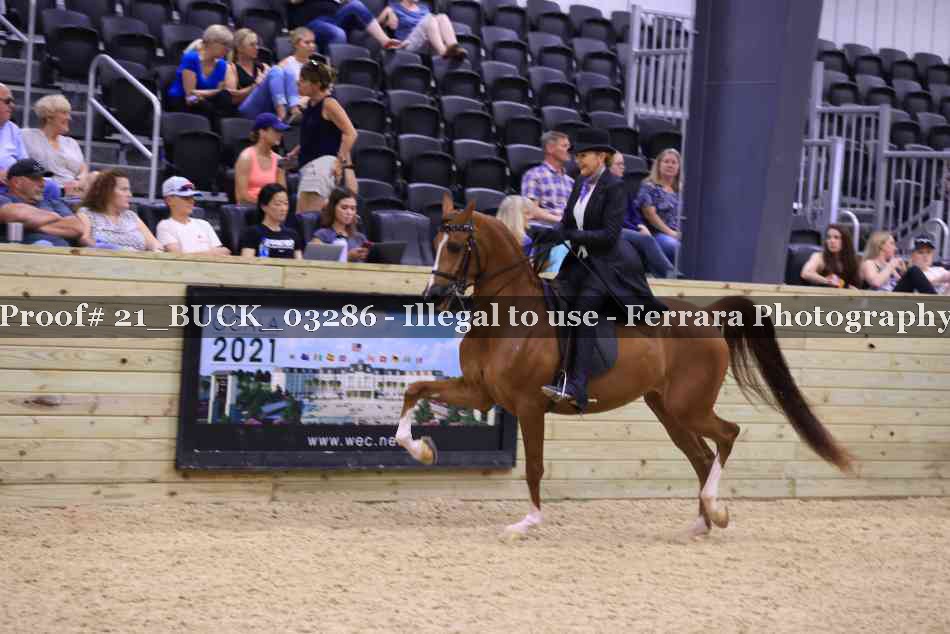 Proof 21_BUCK_03286