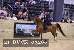21_BUCK_03286 proof
