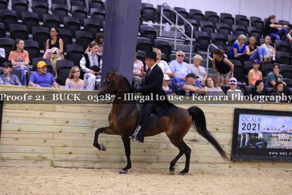 Proof 21_BUCK_03287