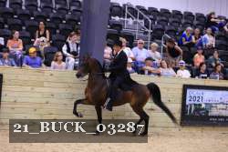 21_BUCK_03287 proof