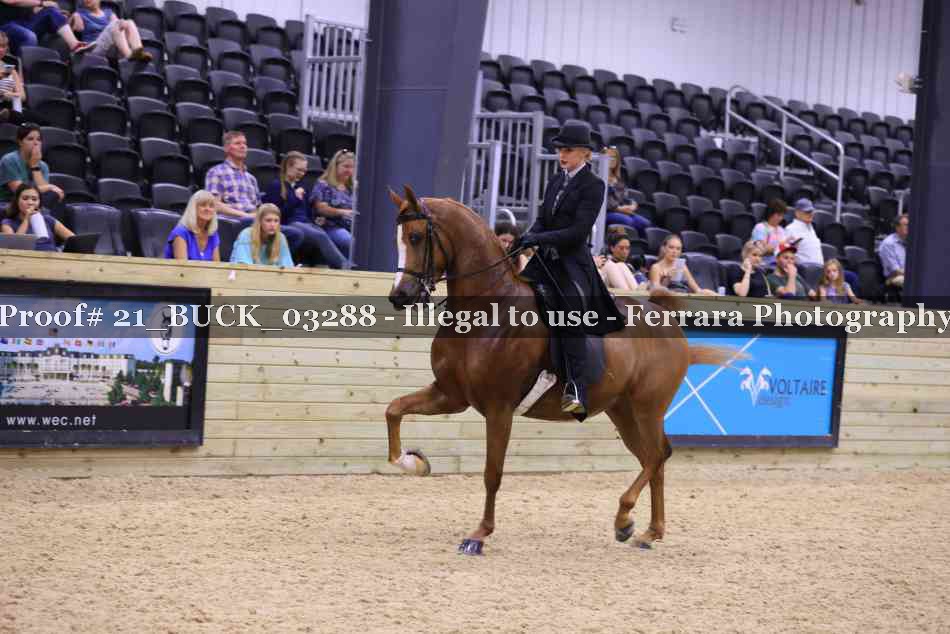 Proof 21_BUCK_03288