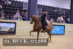 21_BUCK_03288 proof