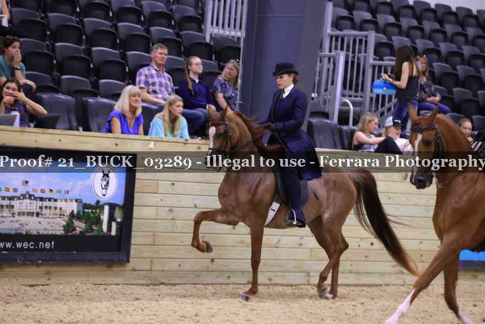 Proof 21_BUCK_03289