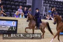 21_BUCK_03289 proof