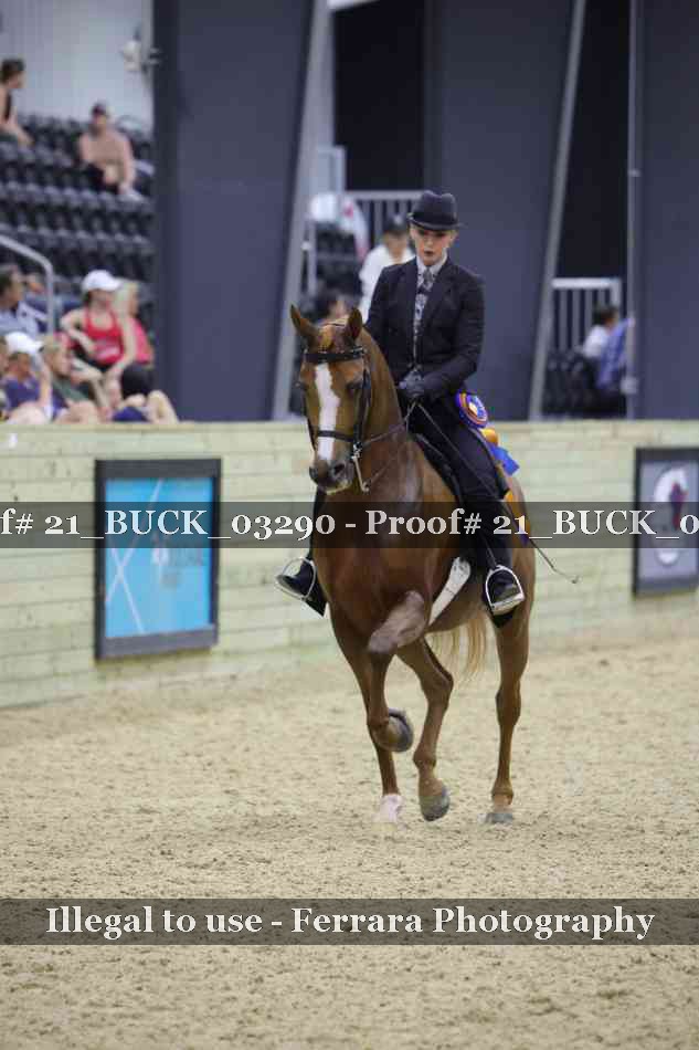 Proof 21_BUCK_03290