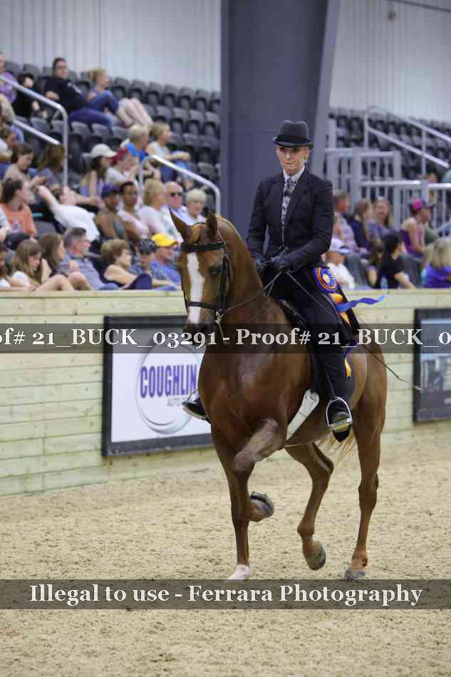Proof 21_BUCK_03291