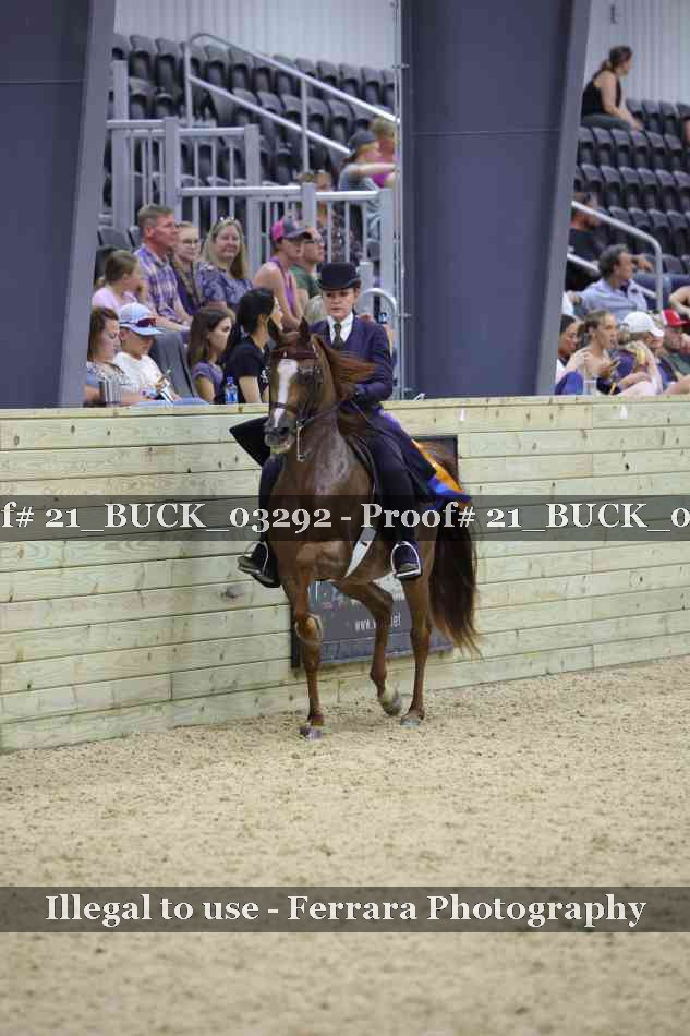 Proof 21_BUCK_03292