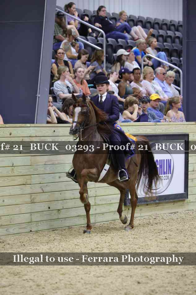 Proof 21_BUCK_03293