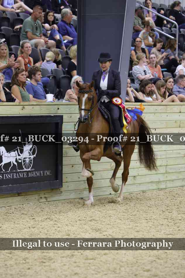 Proof 21_BUCK_03294